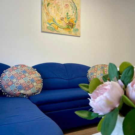 شقة Apartament House Sasca أرادايا المظهر الخارجي الصورة