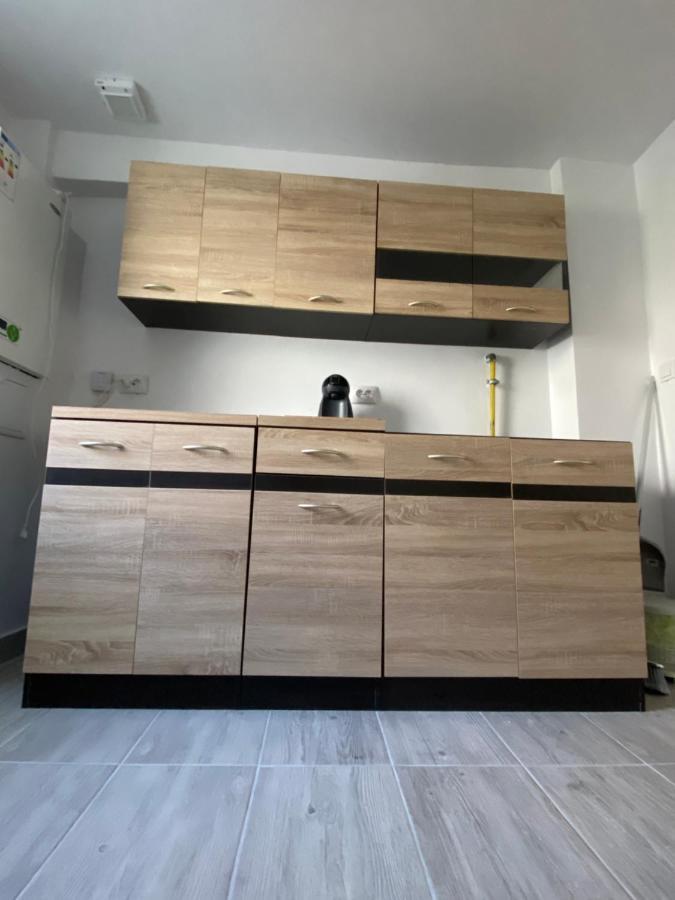 شقة Apartament House Sasca أرادايا المظهر الخارجي الصورة